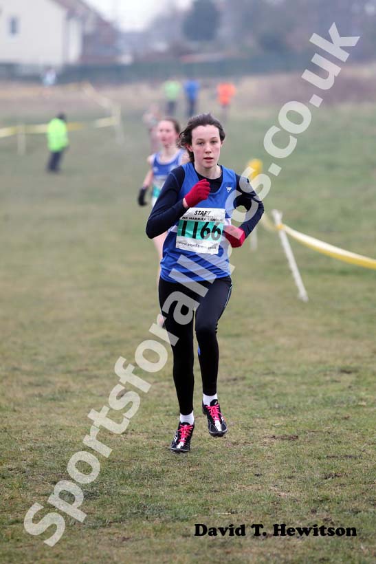 No 1166, Under-15s girls, North East Harrier League, Wrekerton, Gateshead.